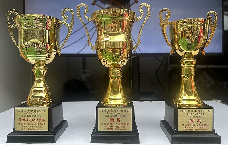 配圖4 獎(jiǎng)杯.JPG